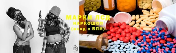 таблы Новозыбков