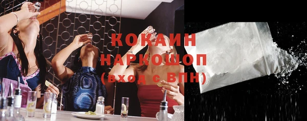 таблы Новозыбков