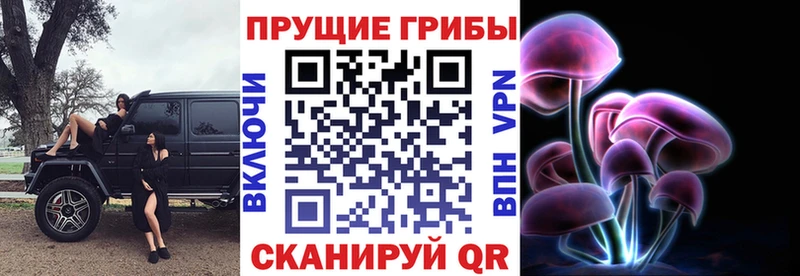 Псилоцибиновые грибы мицелий  кракен tor  Полярные Зори 